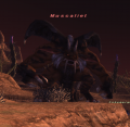 Thumbnail for version as of 23:28, 20 July 2022