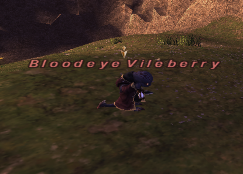 File:Bloodeye Vileberry.png
