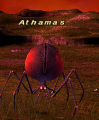 Thumbnail for version as of 22:28, 22 July 2023