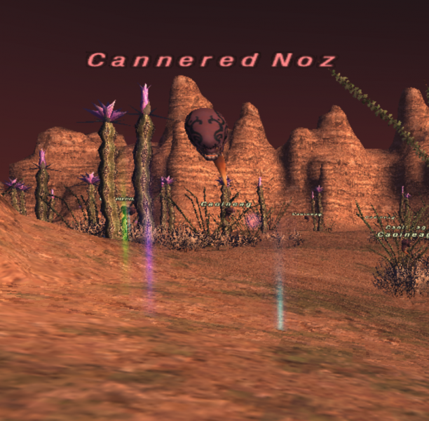 File:Cannered Noz.png