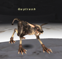 Guytrash