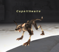 Capelthwaithe
