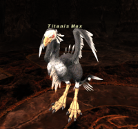 Titanis Max