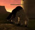 Thumbnail for version as of 02:17, 21 January 2023