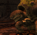 Thumbnail for version as of 01:53, 30 April 2021