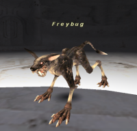 Freybug