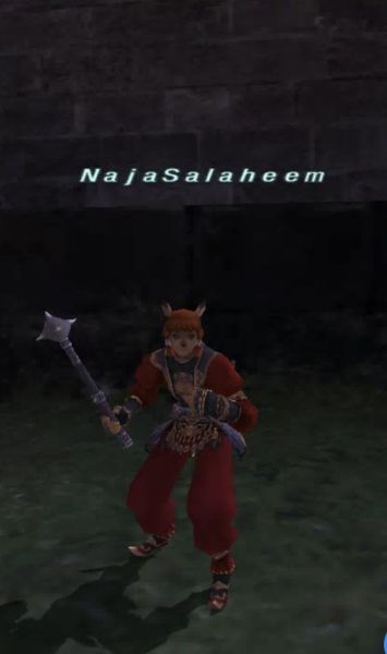 File:Naja Salaheem.jpg