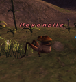 Thumbnail for version as of 23:47, 21 September 2021