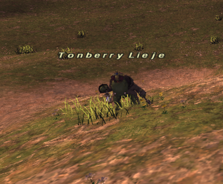 File:Tonberry Lieje.png