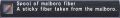 Thumbnail for version as of 13:32, 21 May 2021